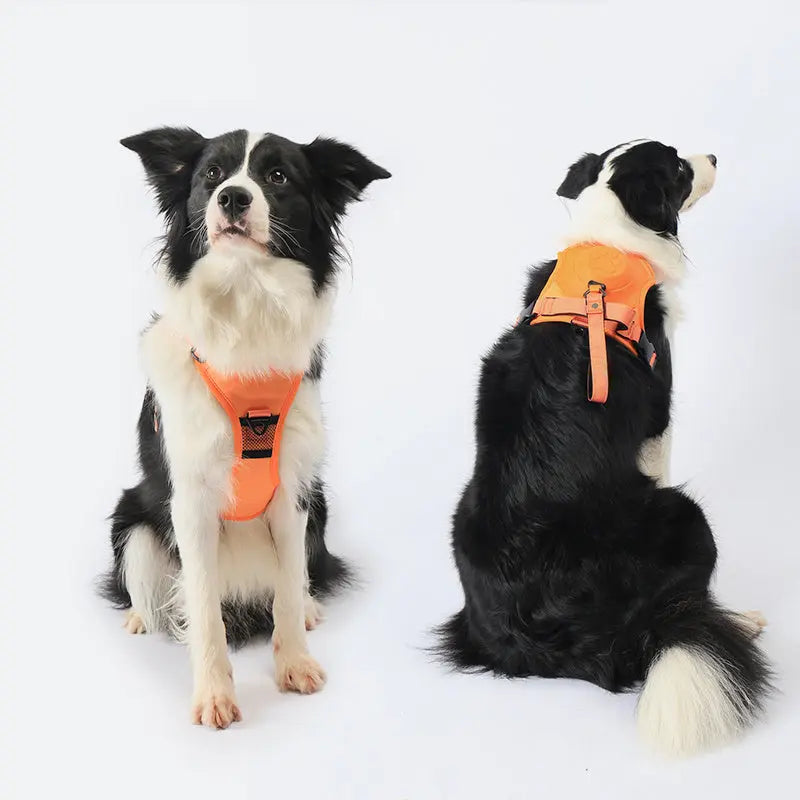 2-in-1 Dog Harness Built-In - YOUYA PET