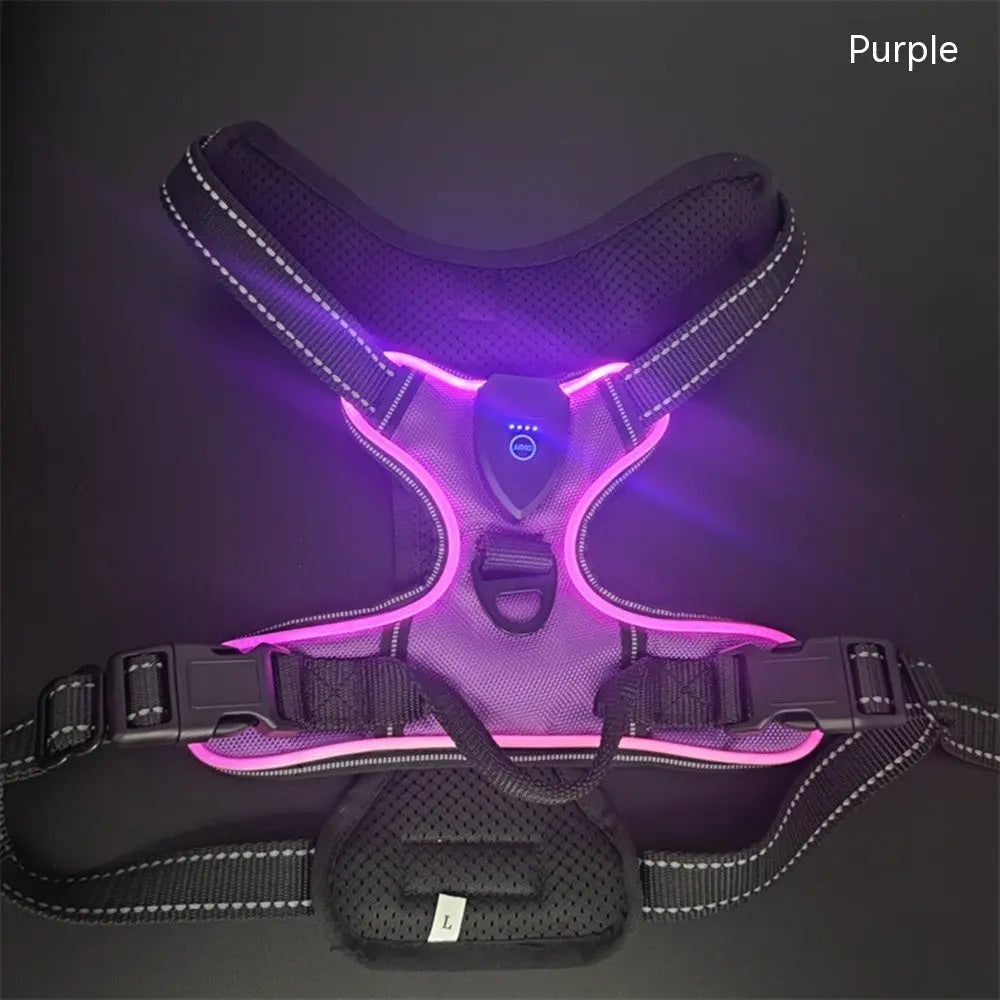 LED Pet Vest - YOUYA PET