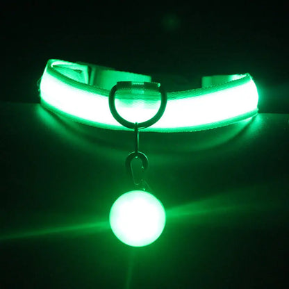 Pet Supplies Dog Collar Luminous Fashion - YOUYA PET