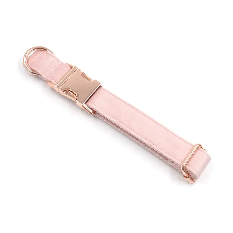 Velvet Rose Gold Pet Collar Leash - YOUYA PET