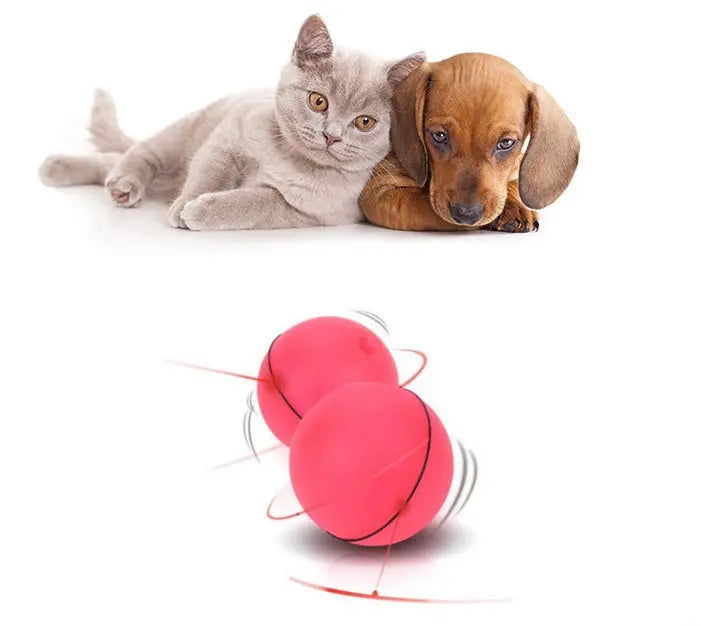 interactive cat toy With LED Laser Electronic YOUYA PET