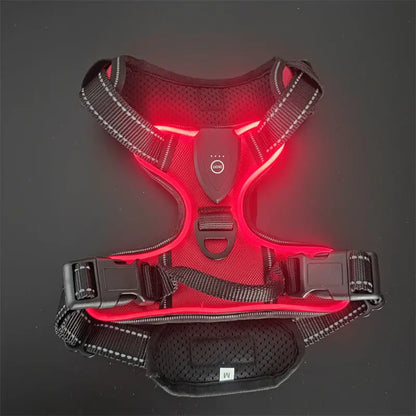 LED Pet Vest - YOUYA PET