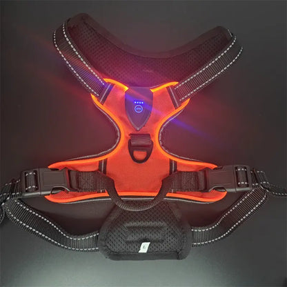 LED Pet Vest - YOUYA PET