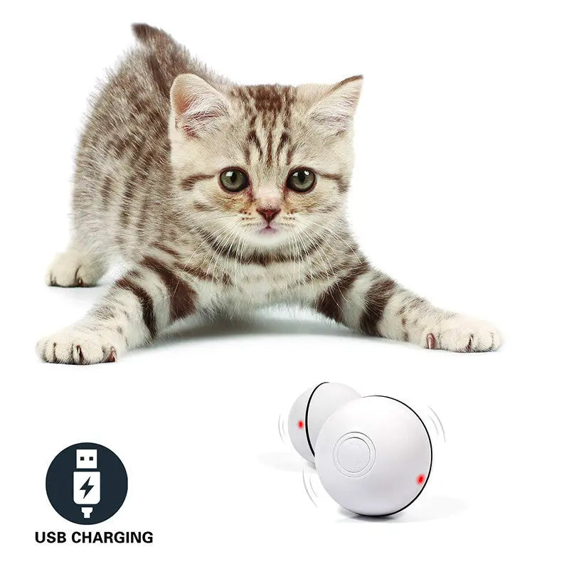 interactive cat toy With LED Laser Electronic YOUYA PET