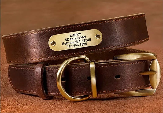 Genuine Leather Cow Leather Engraved Anti Loss Dog Collar - YOUYA PET