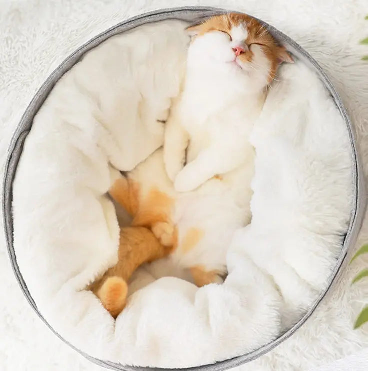 Winter Warm CAT Bed - YOUYA PET