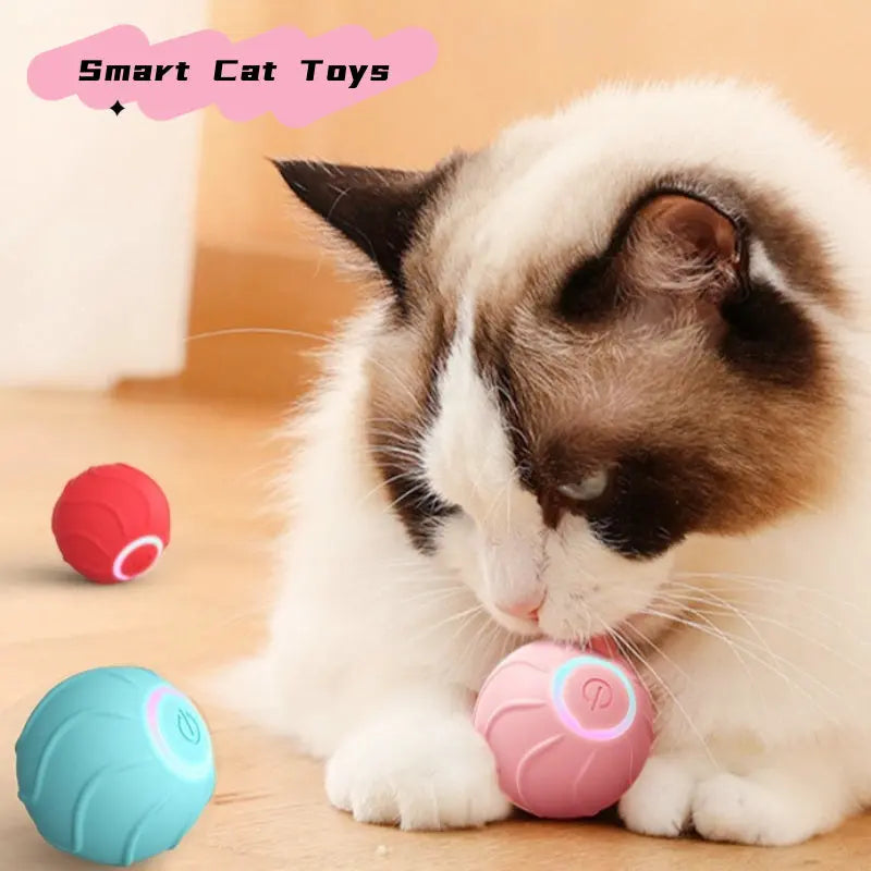 Smart Cat Toys Rolling Ball - YOUYA PET