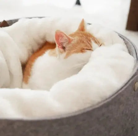 Winter Warm CAT Bed - YOUYA PET