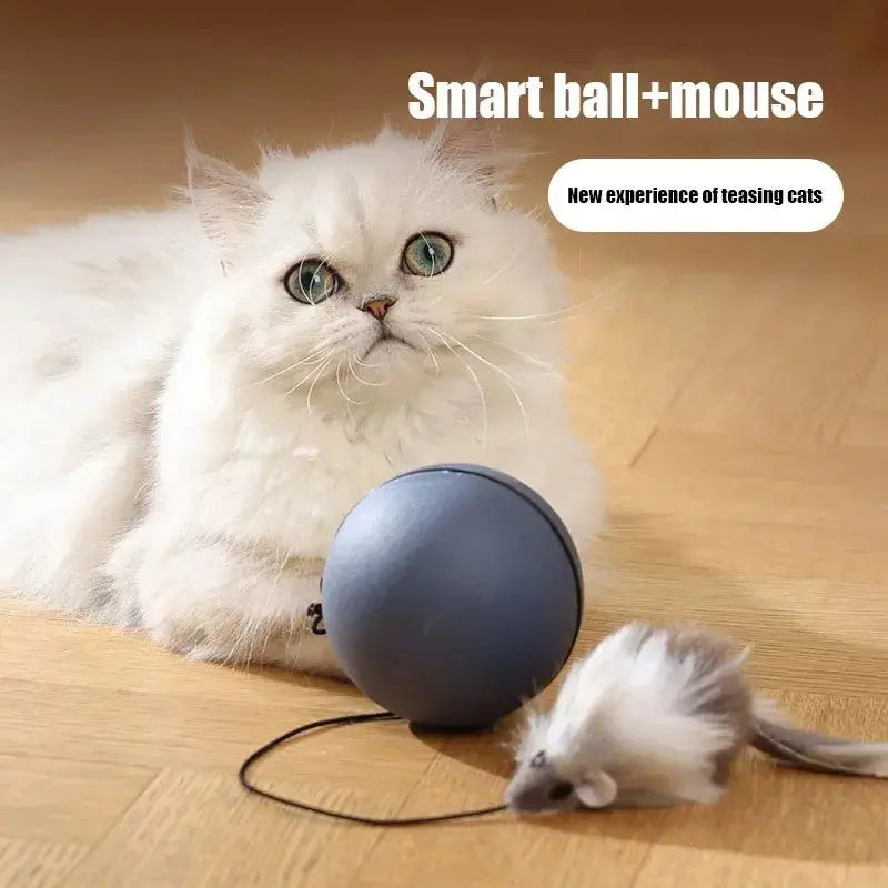 Automatic pet toy, interactive cat toy, dog toy, rolling ball toy - YOUYA PET