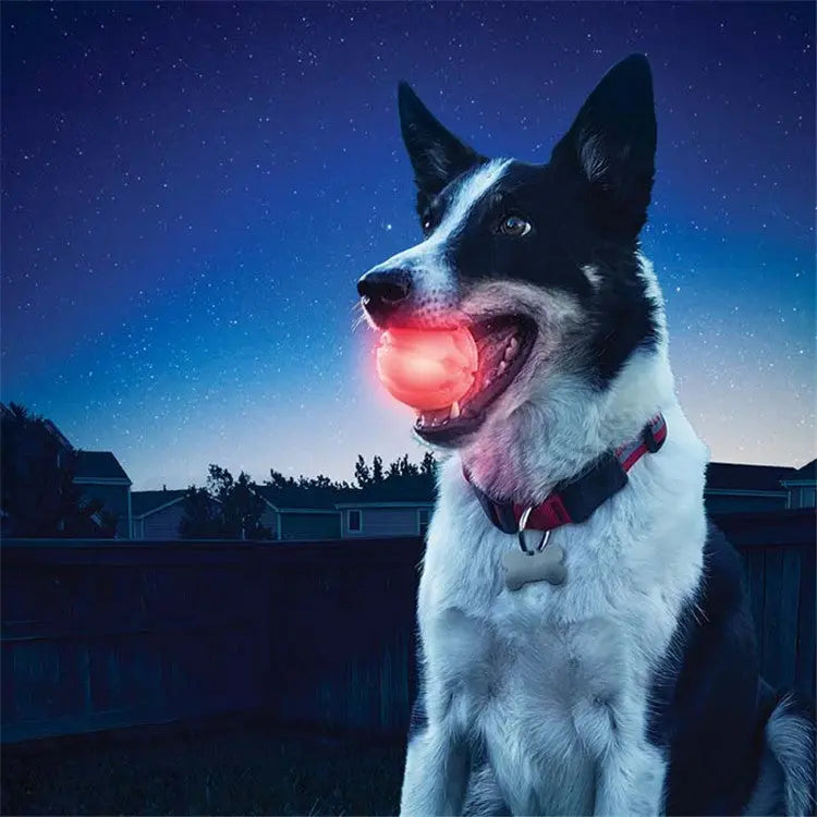 LED Glowing Pet dog Biting Ball - YOUYA PET