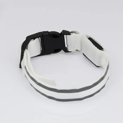 Anti lost Led Luminous Dog Collar - YOUYA PET