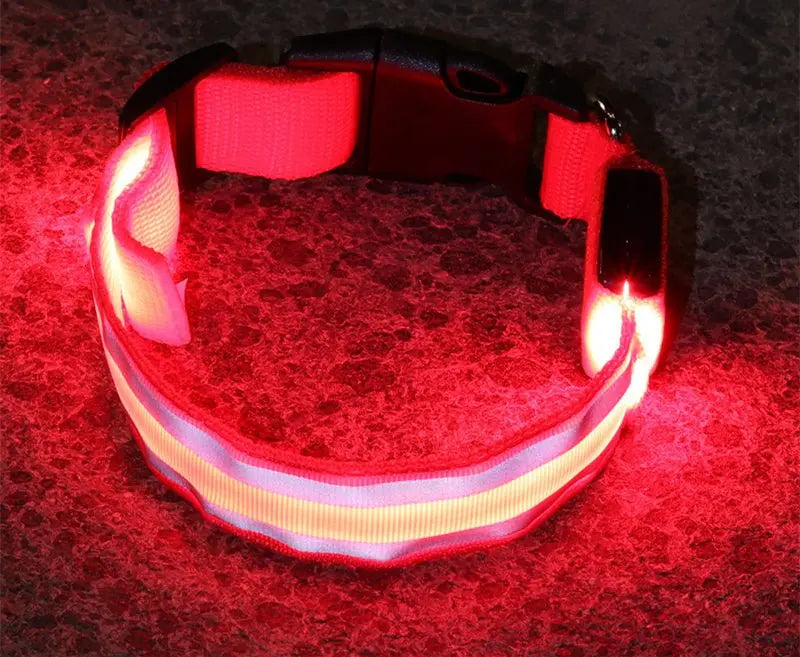 Anti lost Led Luminous Dog Collar - YOUYA PET