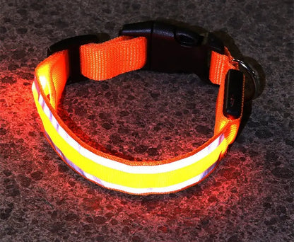 Anti lost Led Luminous Dog Collar - YOUYA PET