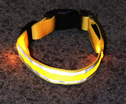 Anti lost Led Luminous Dog Collar - YOUYA PET