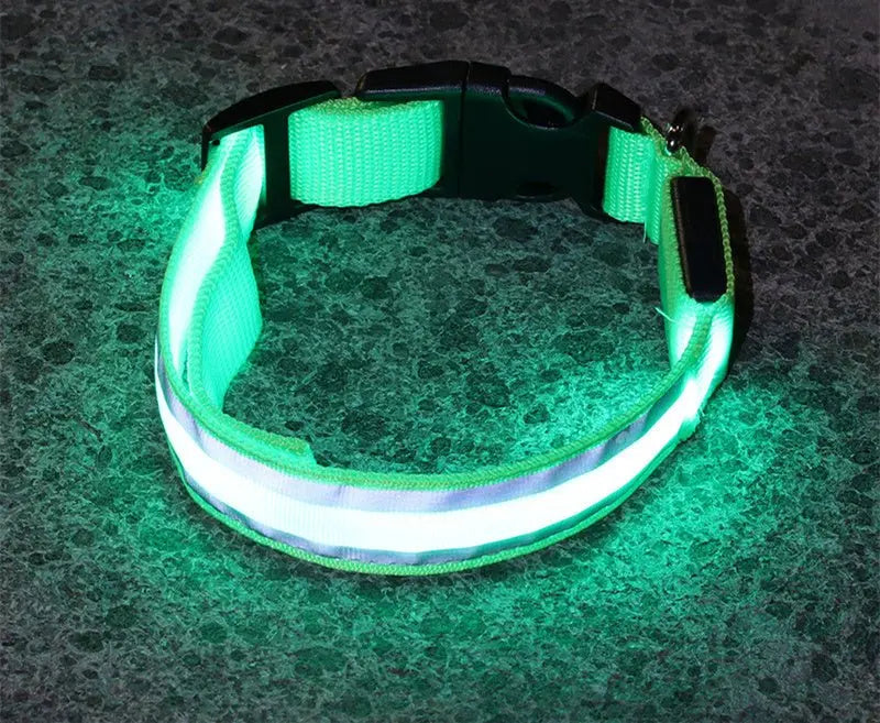 Anti lost Led Luminous Dog Collar - YOUYA PET