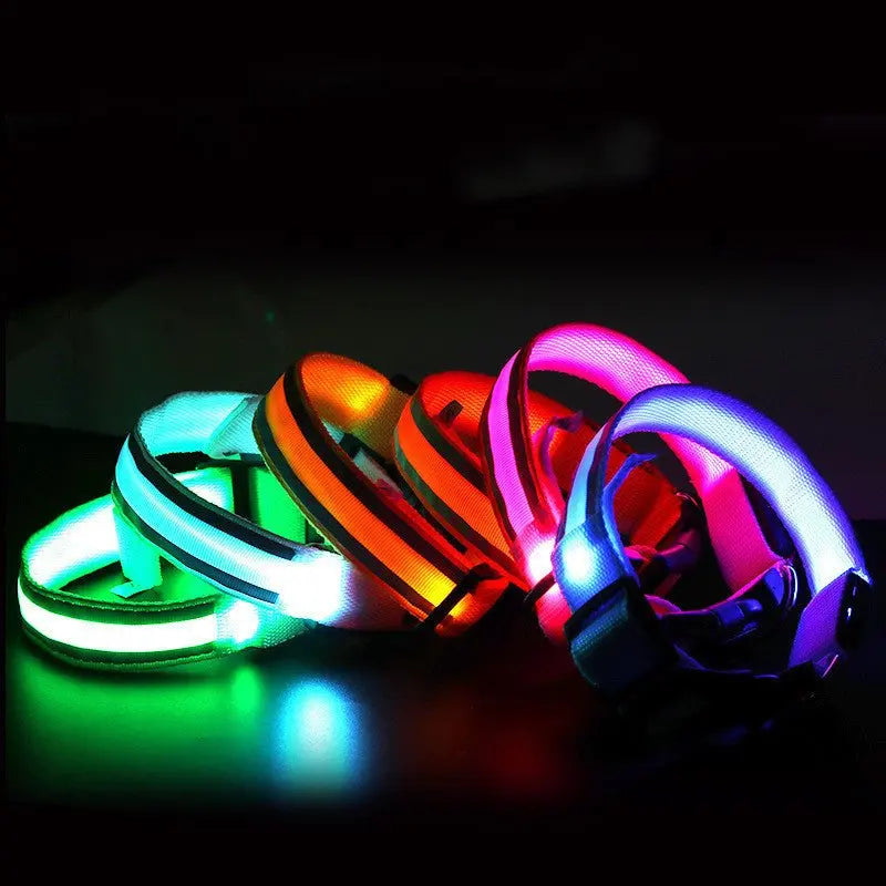 Anti lost Led Luminous Dog Collar - YOUYA PET