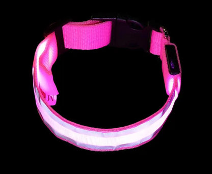 Anti lost Led Luminous Dog Collar - YOUYA PET