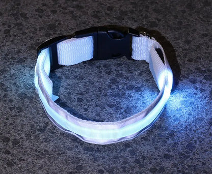 Anti lost Led Luminous Dog Collar - YOUYA PET