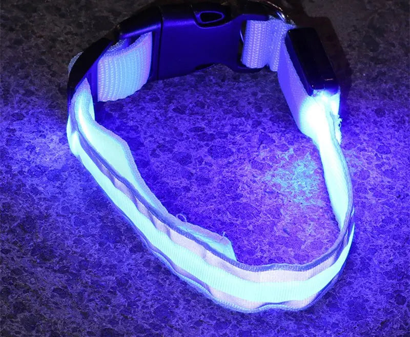 Anti lost Led Luminous Dog Collar - YOUYA PET