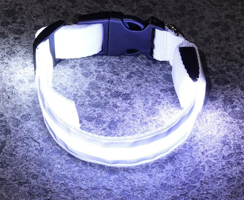 Anti lost Led Luminous Dog Collar - YOUYA PET