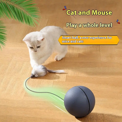 Automatic pet toy, interactive cat toy, dog toy, rolling ball toy - YOUYA PET