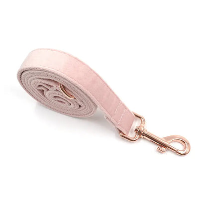 Velvet Rose Gold Pet Collar Leash - YOUYA PET